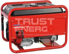 Бензиновый генератор Endress ESE 306 HS-GT