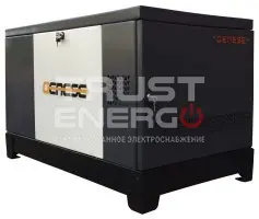 Газовый генератор Genese Standard 12000 Neva кожухе с АВР В кожухе  LC2V78FD-2 trustenergo.ru